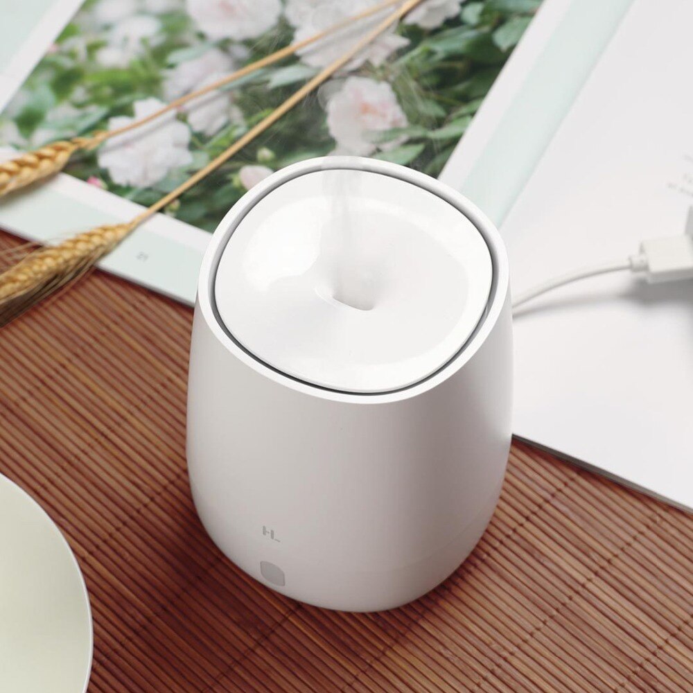 Ultrasonic Aromatherapy Diffuser & Essential Oil Humidifier